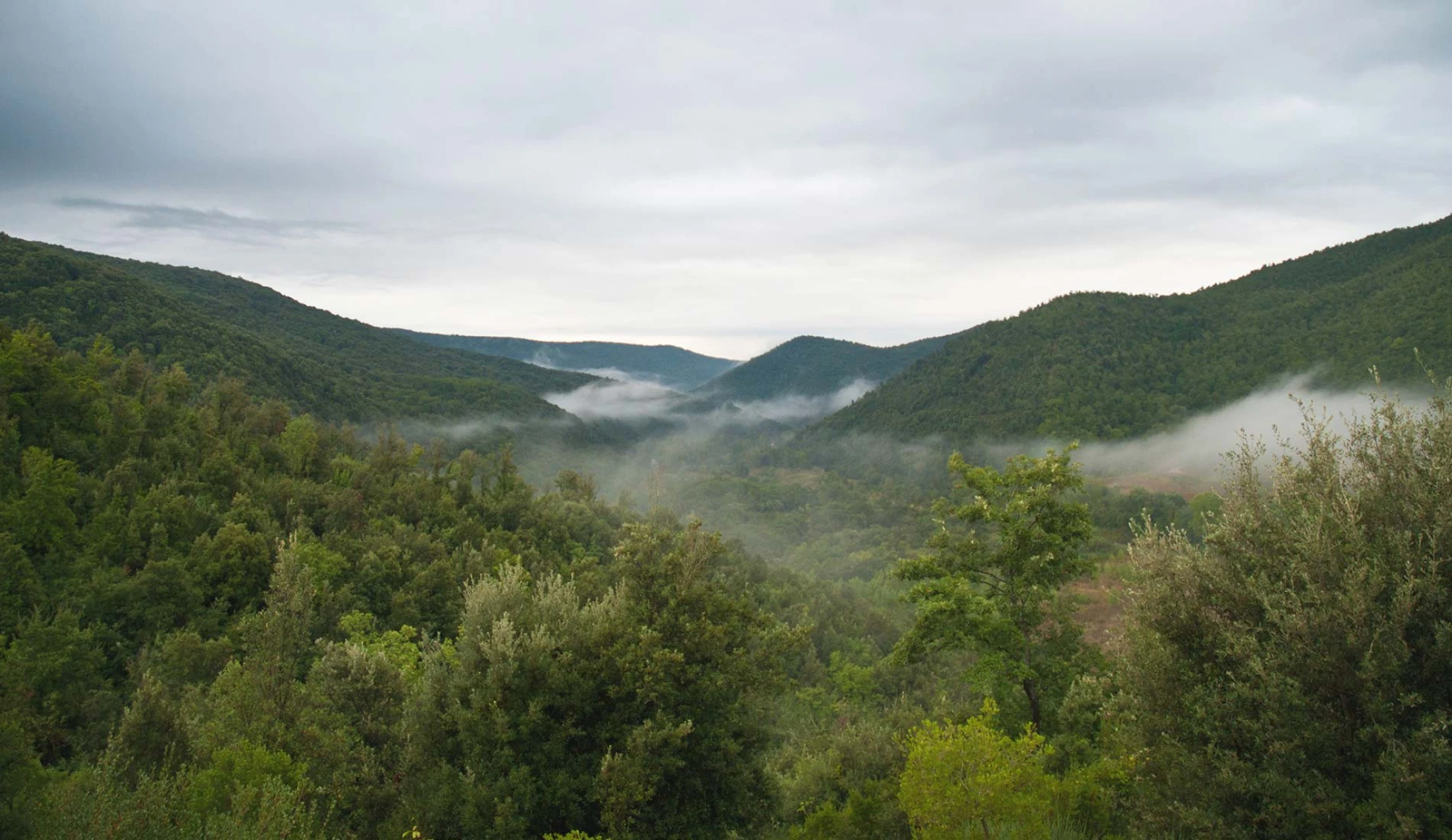 Riserva della Biosfera UNESCO Monte Peglia